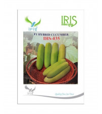 Cucumber / Kakri F1 Iris IHS-035 20 grams